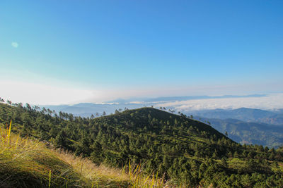 Scenic view of landscape against clear blue sky