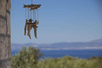 Low angle view of horse hanging against sky