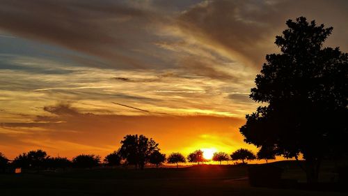 Silhouette trees on landscape against sky at sunset