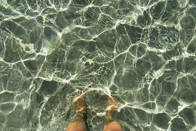 Low section of person standing in swimming pool