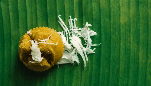 Close-up of bread in plate