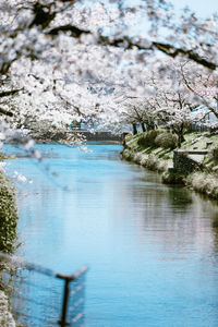 Scenic view of lake