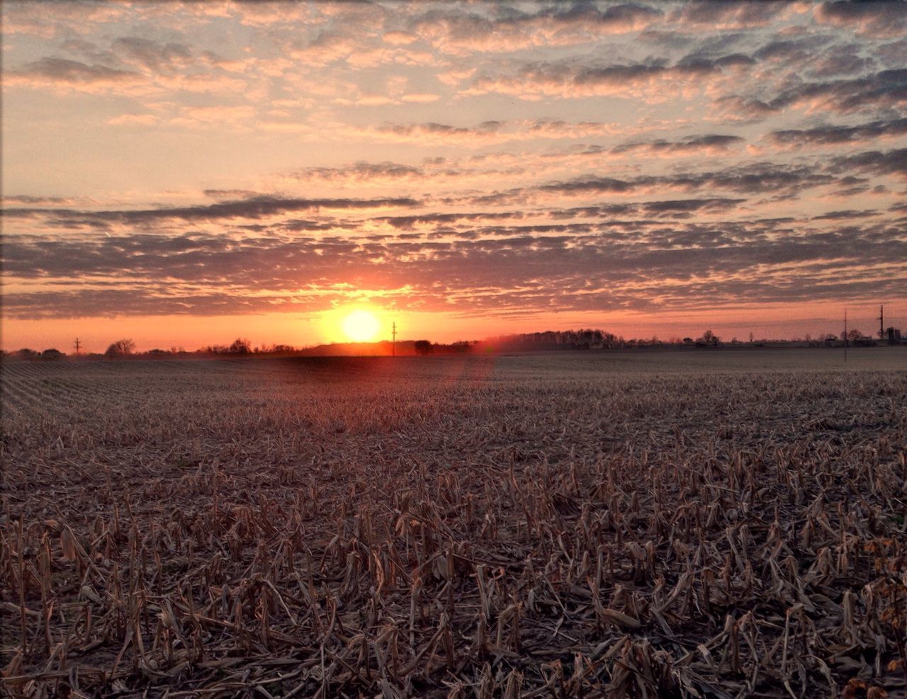 sunset, landscape, tranquil scene, sky, scenics, tranquility, field, sun, beauty in nature, cloud - sky, rural scene, agriculture, orange color, nature, farm, idyllic, cloudy, cloud, sunlight, crop