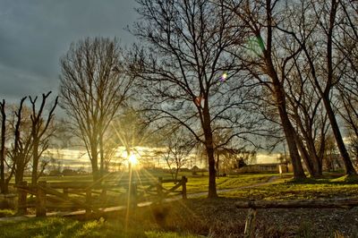 Bare trees against sky during sunset