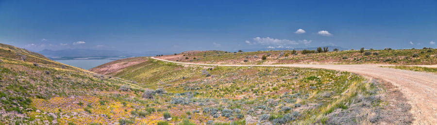 Scenic view of landscape against clear blue sky