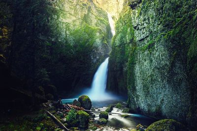 View of waterfall in forest