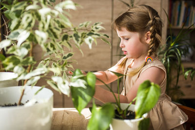 Girl looking at potted plant