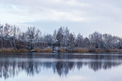 Reflection of trees in lake against sky