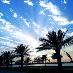 Silhouette palm trees against sky during sunset