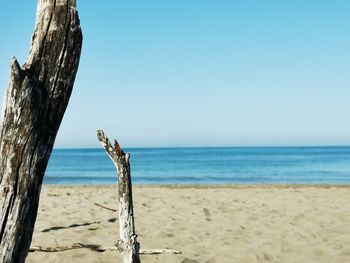 Wooden posts on beach against clear sky