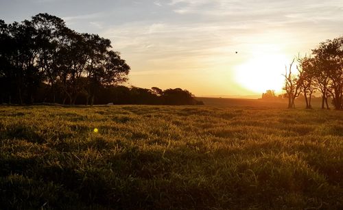 Scenic view of field against sky during sunset