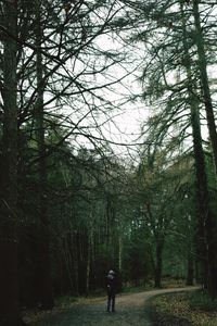 Rear view of man walking in forest