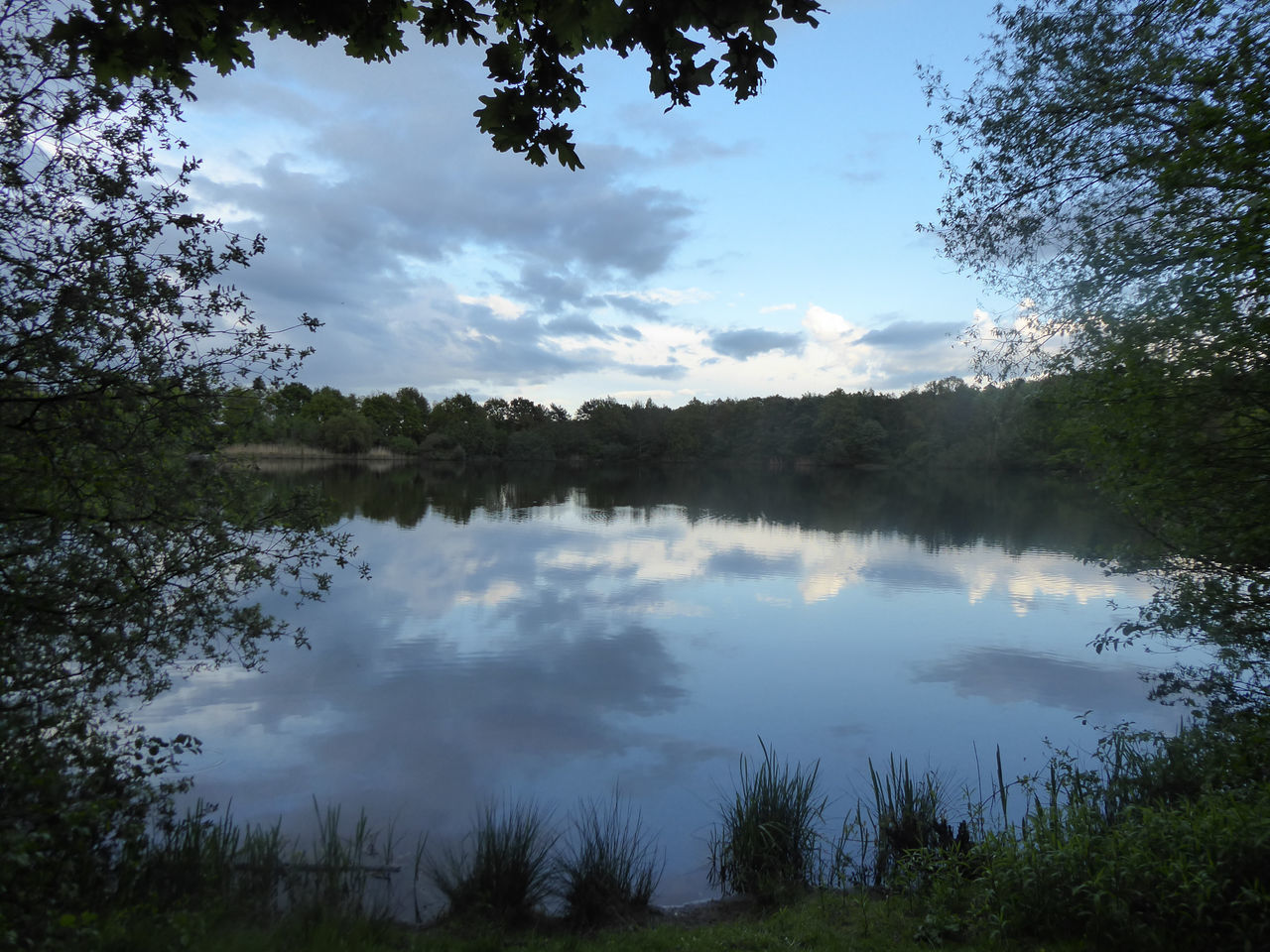 SCENIC VIEW OF LAKE AMIDST TREES AGAINST SKY