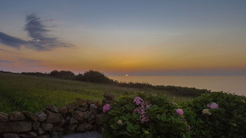 Scenic view of field against sky during sunset