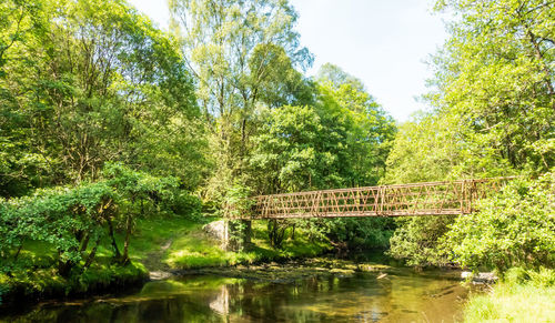 Bridge over river by trees against sky