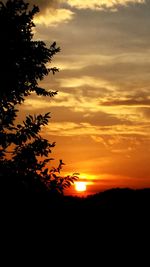 Silhouette of trees at sunset