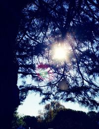 Low angle view of trees against sky