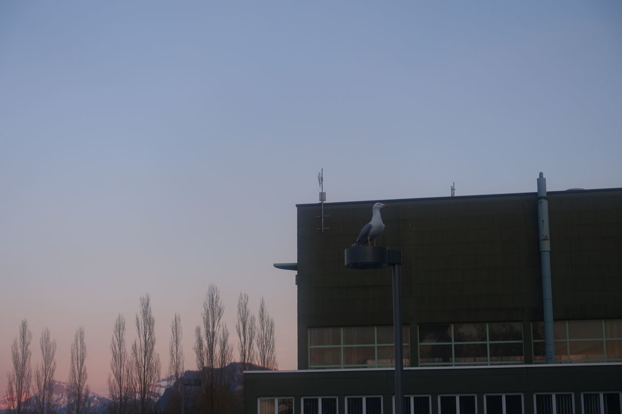 LOW ANGLE VIEW OF BUILDING AGAINST SKY AT DUSK