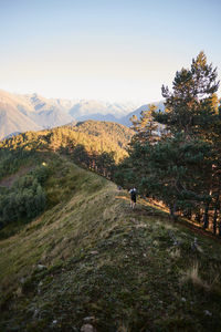 Rear view of man walking on landscape against sky