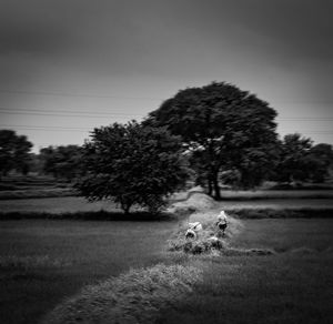 View of road in field