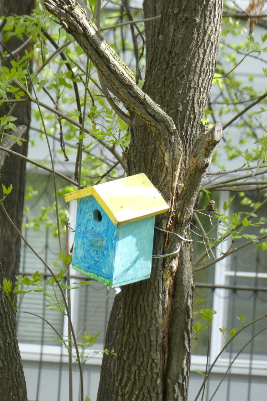 CLOSE-UP OF CLOTHES HANGING ON TREE TRUNK