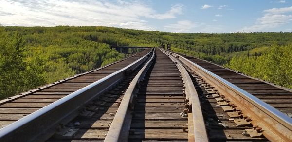 Railroad track amidst trees against sky