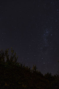 Low angle view of trees against sky at night