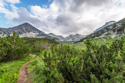 Amazing landscape of pirin mountain bulgaria.