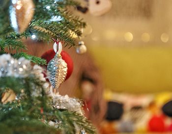 Close-up of christmas tree