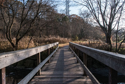 Footbridge amidst trees against sky