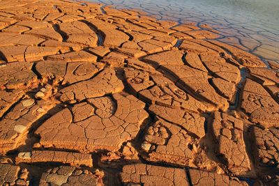 Close-up of mud in desert