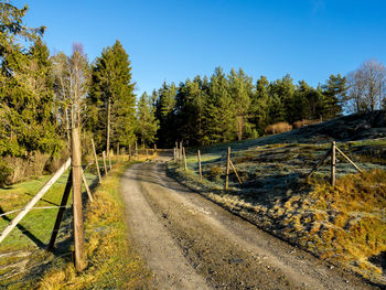 Road amidst trees against clear sky