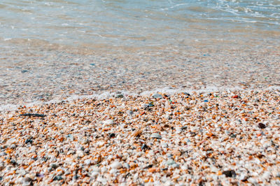 High angle view of pebbles on shore