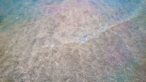 High angle view of bubbles on beach