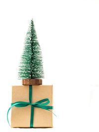 Christmas tree in box against white background