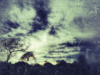 Low angle view of silhouette trees against sky