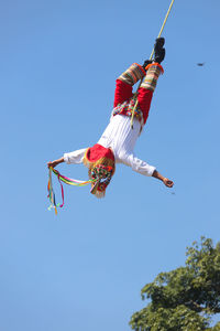 Low angle view of bird flying against clear blue sky