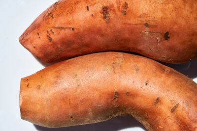 Close-up of bread against white background