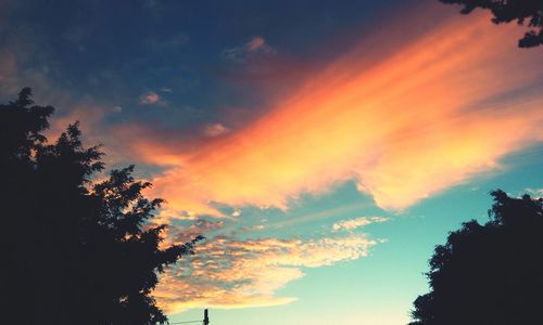 Silhouette of trees against cloudy sky