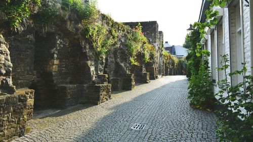 Panoramic shot of historic amidst trees