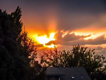 Low angle view of trees against sky at sunset