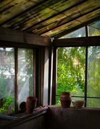 Trees seen through window