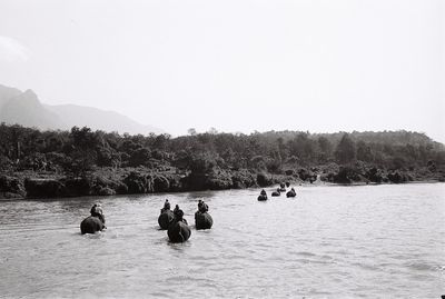 Rear view of people riding elephants in river against sky