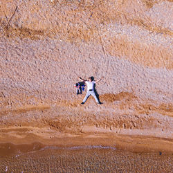 Horse running in a desert