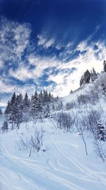 Trees on snow covered landscape against sky