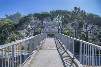 View of trees