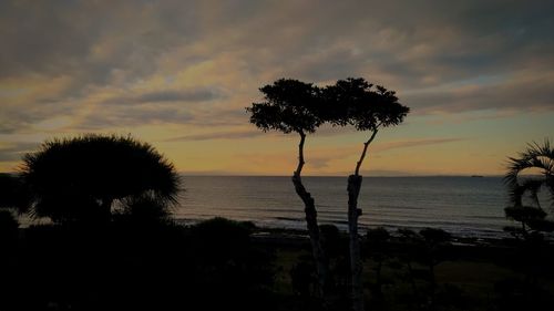 Silhouette trees by sea against sky during sunset