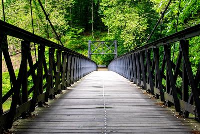 View of footbridge in forest