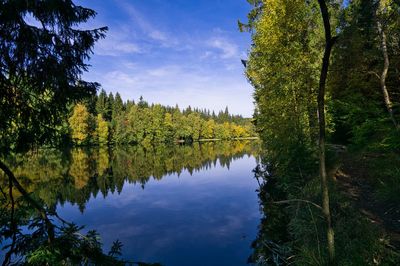 Scenic view of lake by trees against sky