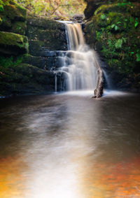 View of waterfall in forest